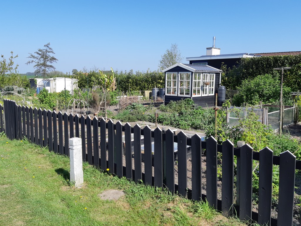 Schilderen verf Moose Färg