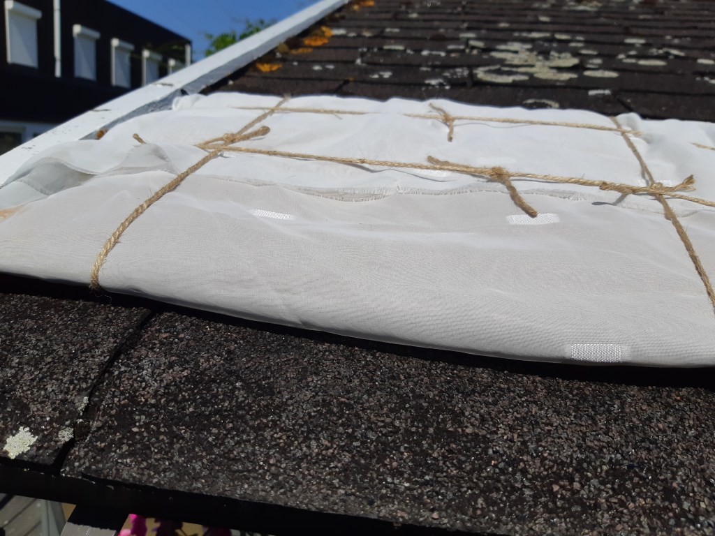 Duurzaam pruimen drogen in de zon