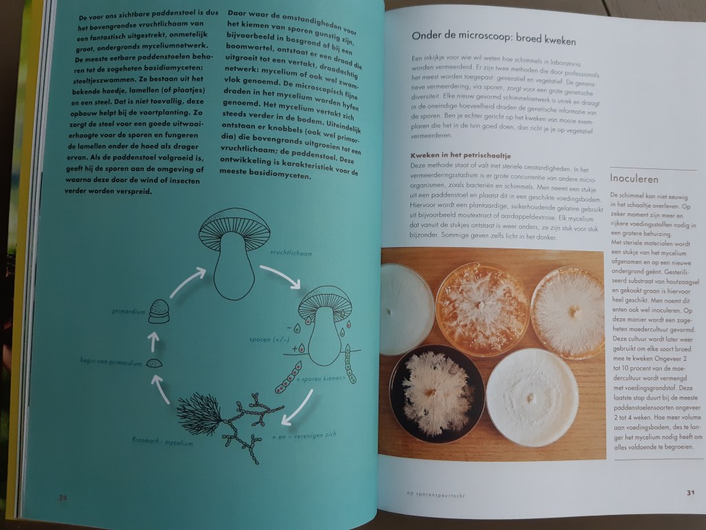 Boek review zelf eetbare paddenstoelen kweken