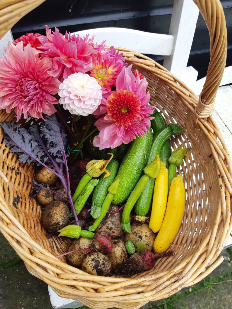 Moestuinoogst oktober