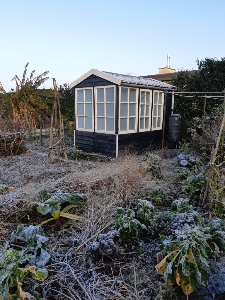 Moestuin winter greenhouse tuinkas kas