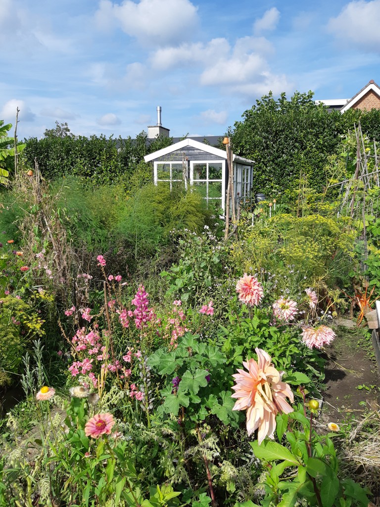 Moestuin kas greenhouse tuinkas