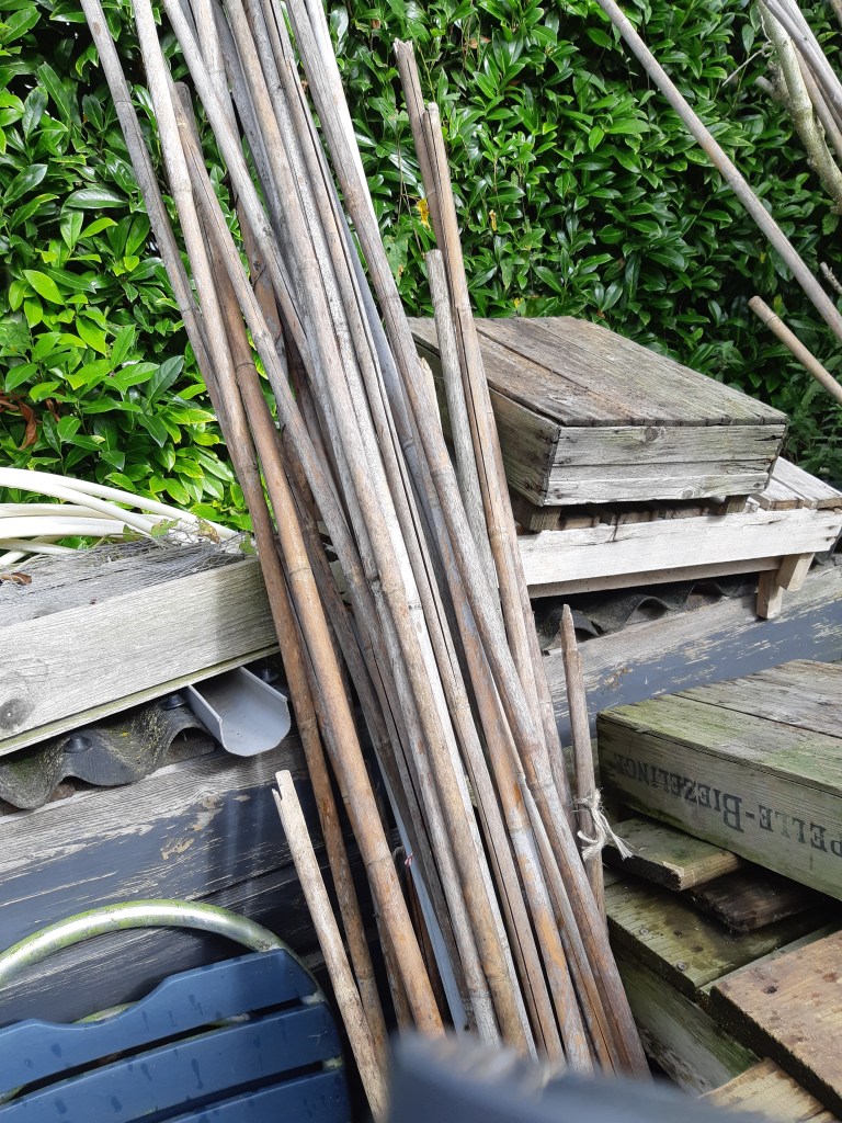 Moestuin winterklaar maken