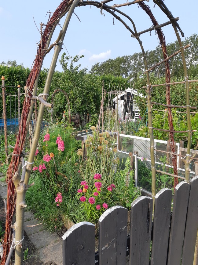 Moestuin Moestuinhippie