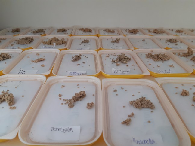 Tomatenzaden laten drogen na fermenteren