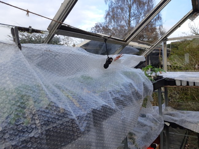 Tomatenplanten beschermen tegen kou en nachtvorst.