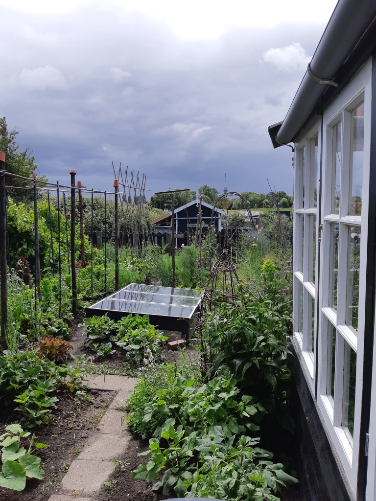 Moestuin