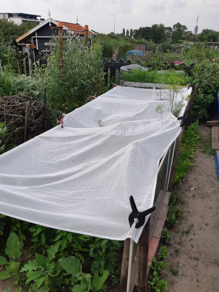 Moestuin beschermen tegen hitte