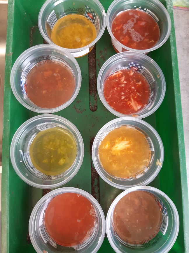 Tomaten fermenteren