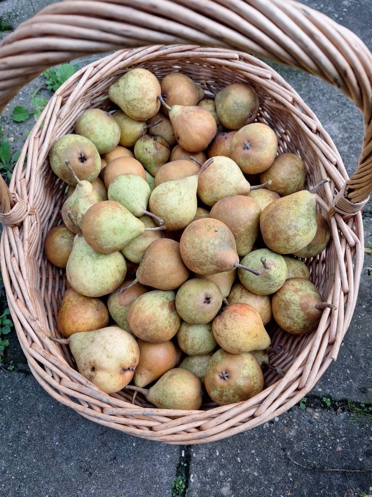 Stoofperen inmaken recept