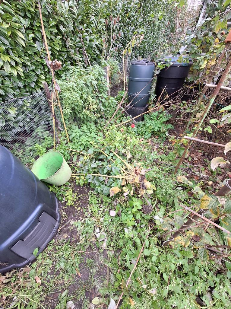 Overwoekerde moestuin of permacultuur