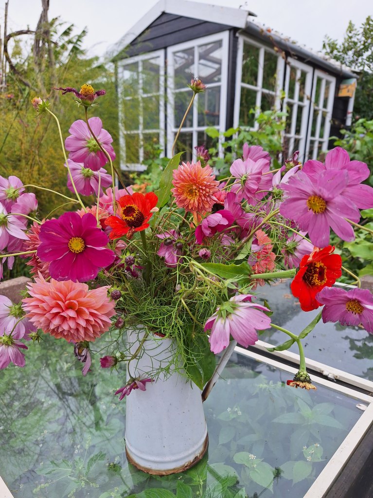 Herfst- bloemen uit de moestuin